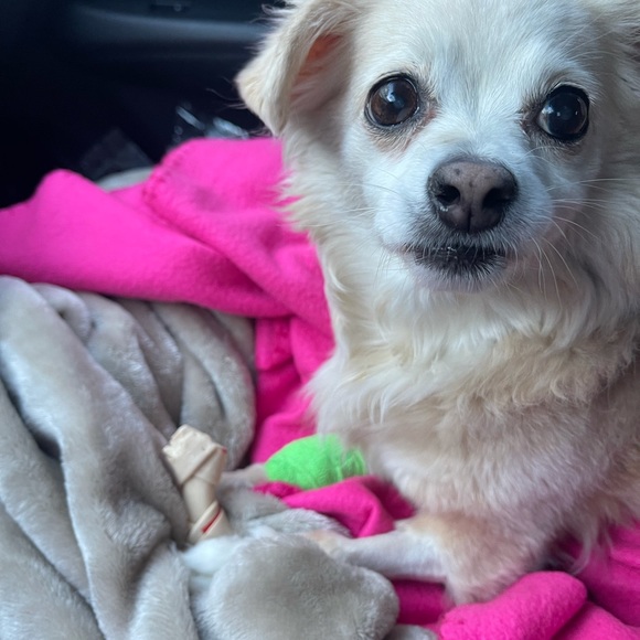 ✨MY BIG WHY✨ - Picture 7 of 16